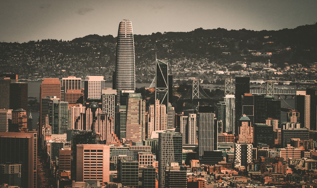 既没有任何 既没有任何