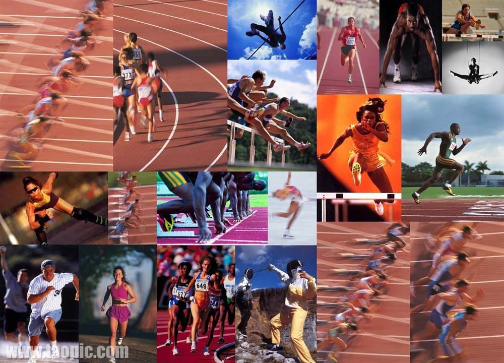 明星球员的 明星球员的