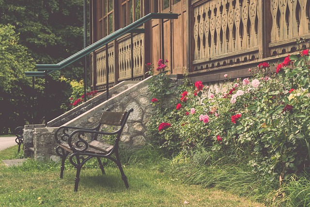 步入职业生 步入职业生