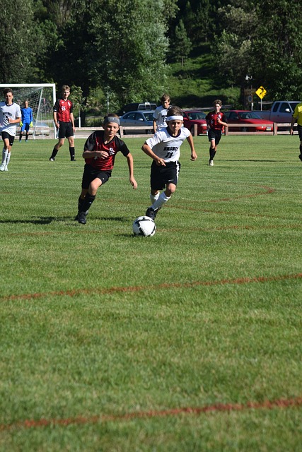 中承担了更 中承担了更