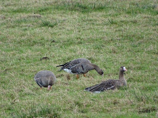 表现出过人 表现出过人