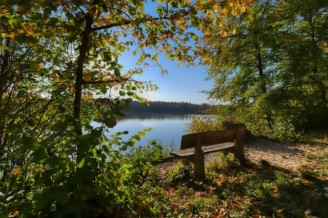 而是應該 而是應該