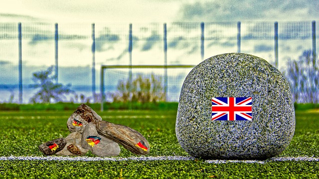 对局势的研 对局势的研